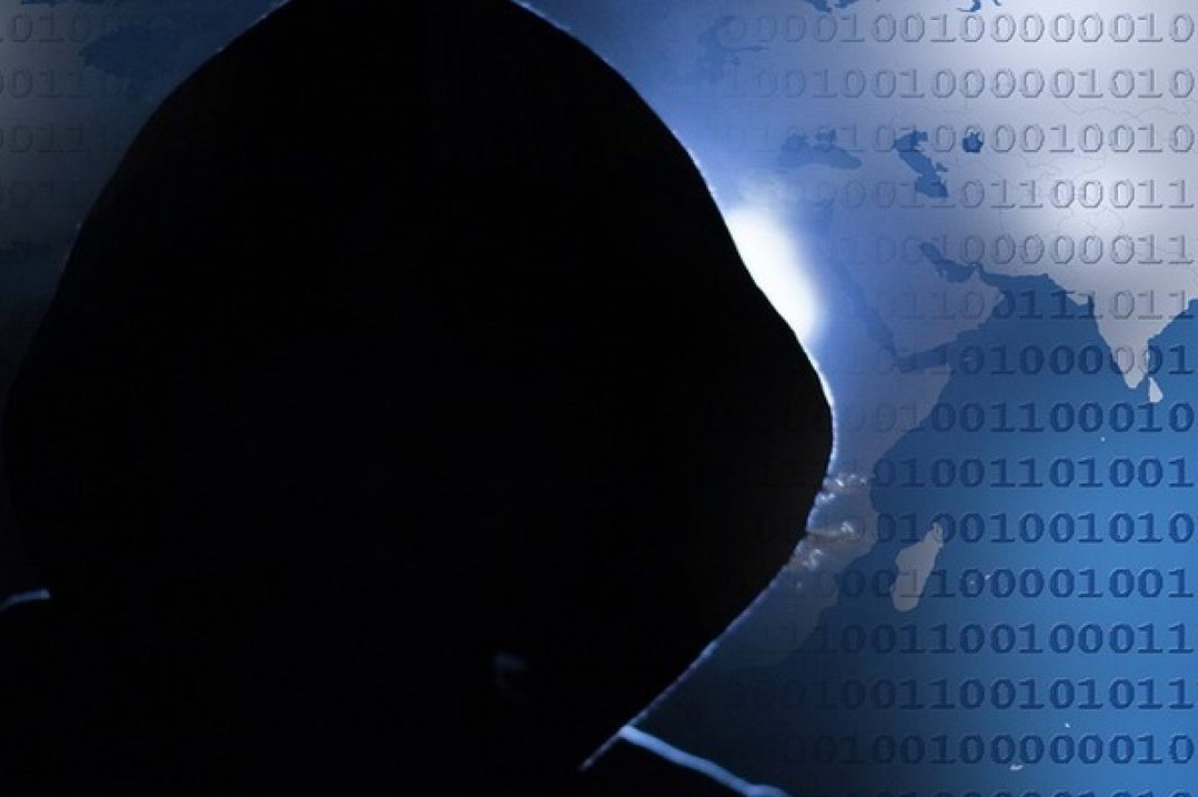 What You Need to Know About RATicate | HIMAYA